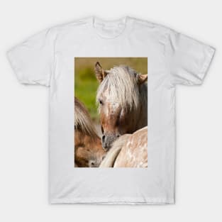 Horses T-Shirt